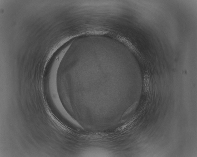 X0000062620726200601111033