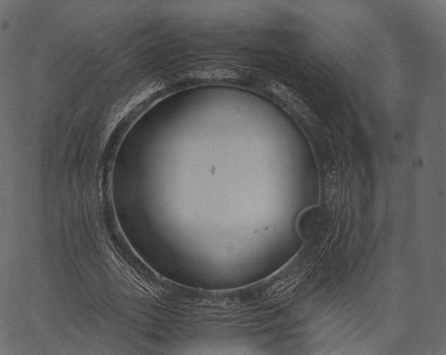 X0000062620727200601111033