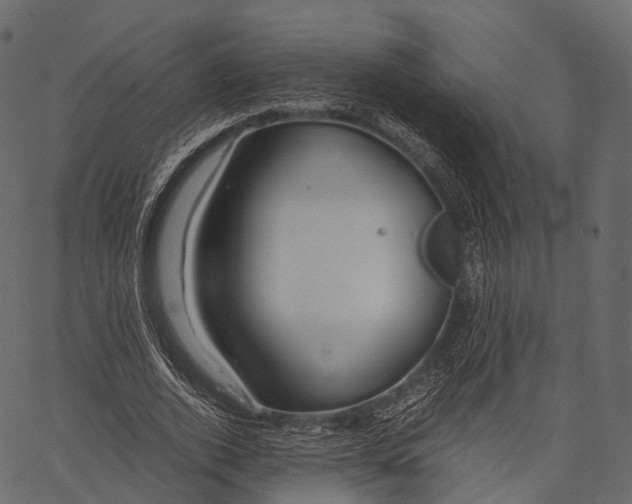 X0000062620728200601111033