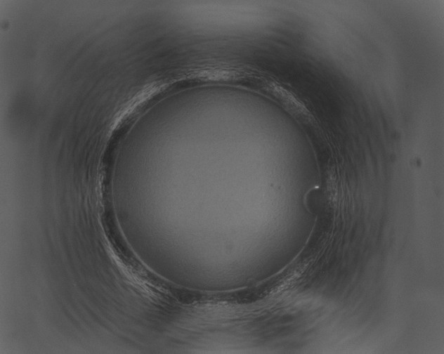 X0000062620730200601111033