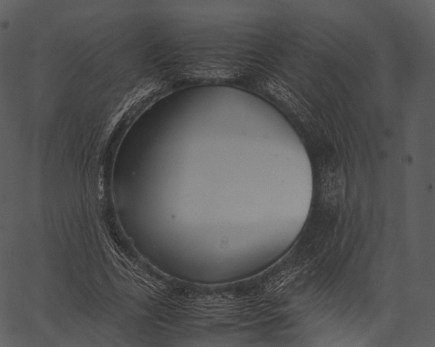 X0000062620731200601111033