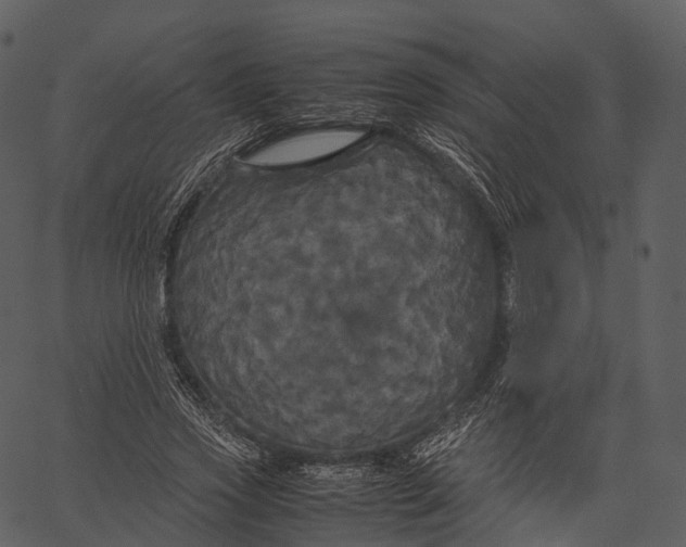 X0000062620733200601111033