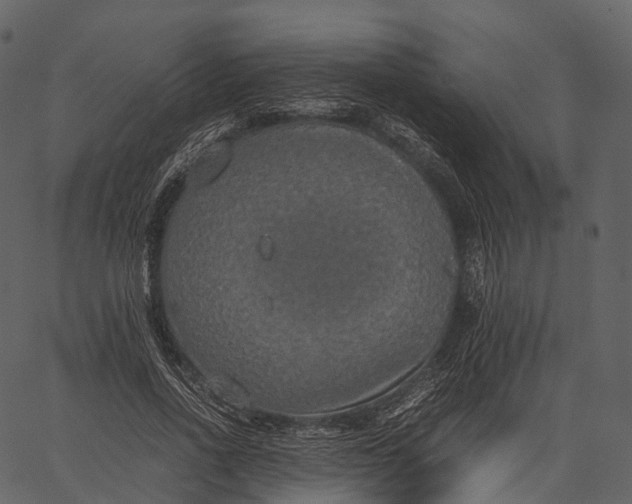 X0000062620734200601111033