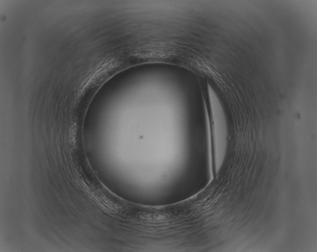 X0000062620735200601111033