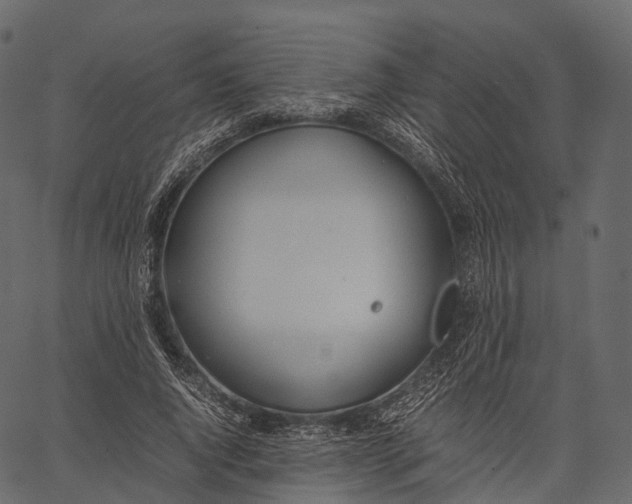 X0000062620736200601111033