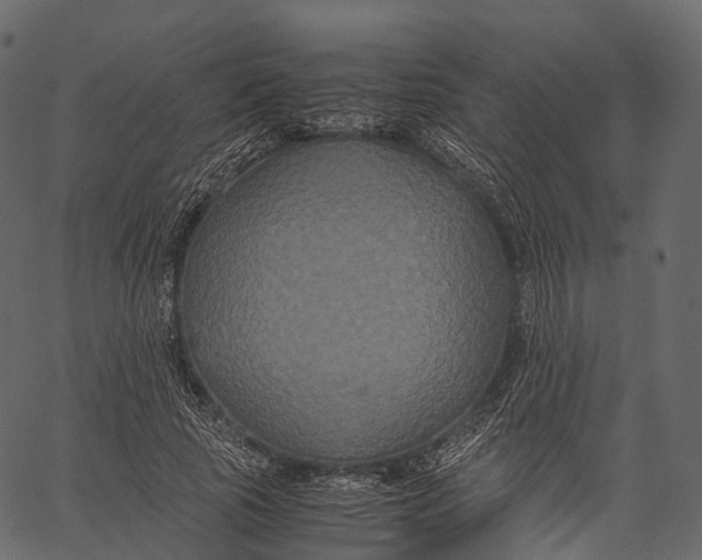 X0000062620737200601111033