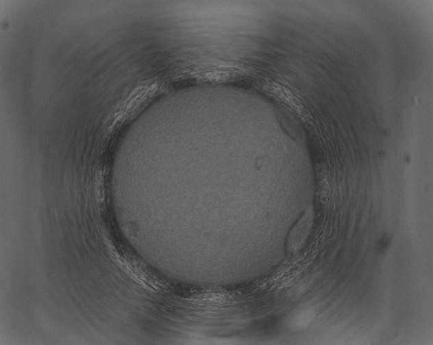 X0000062620738200601111034