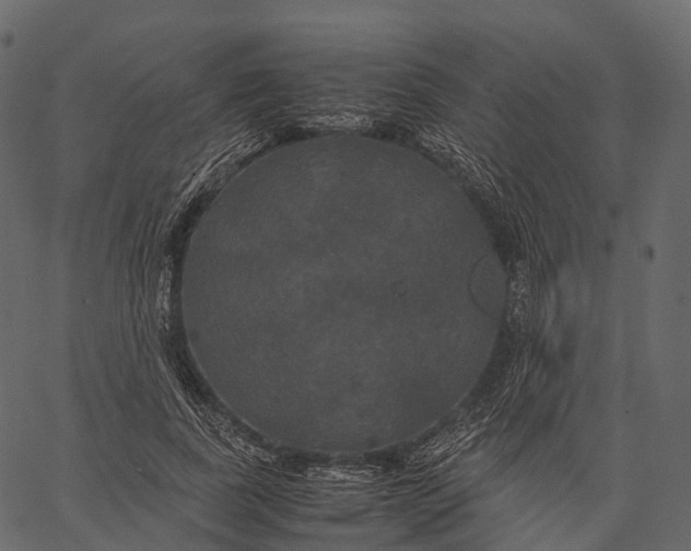 X0000062620739200601111034