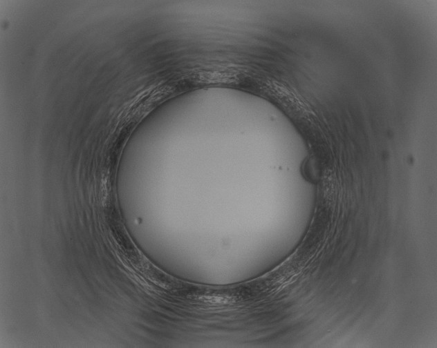 X0000062620741200601111034