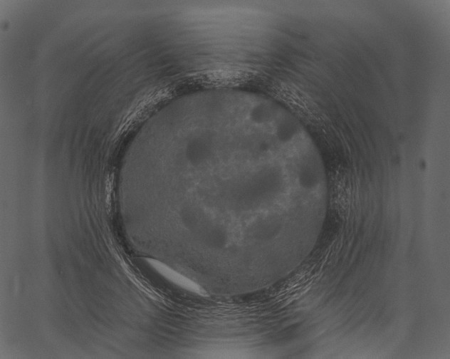 X0000062620742200601111034