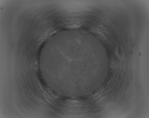 X0000062620743200601111034