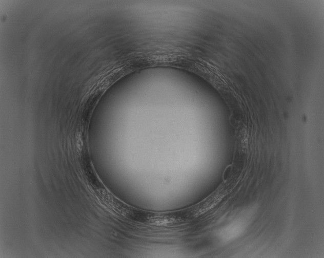 X0000062620746200601111034