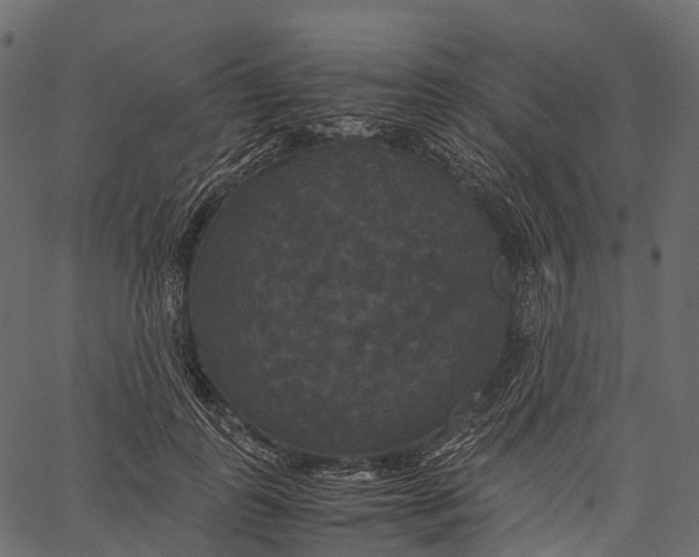 X0000062620747200601111034