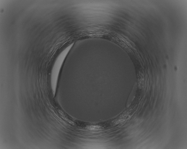 X0000062620748200601111034