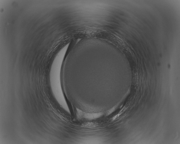 X0000062620750200601111034