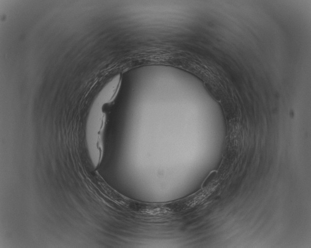 X0000062620752200601111034