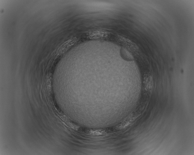 X0000062620753200601111034