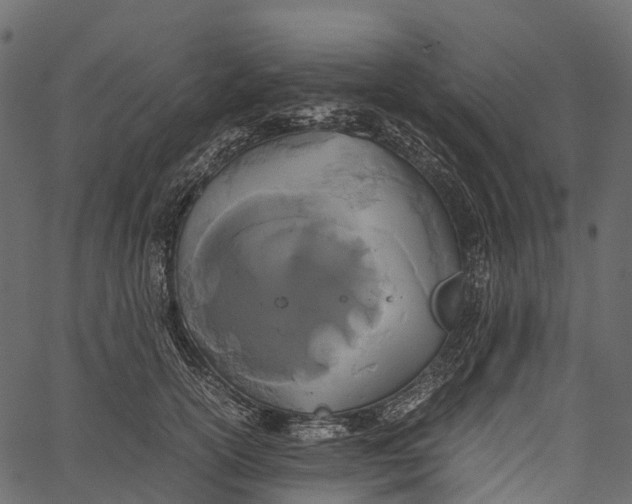 X0000062620754200601111034