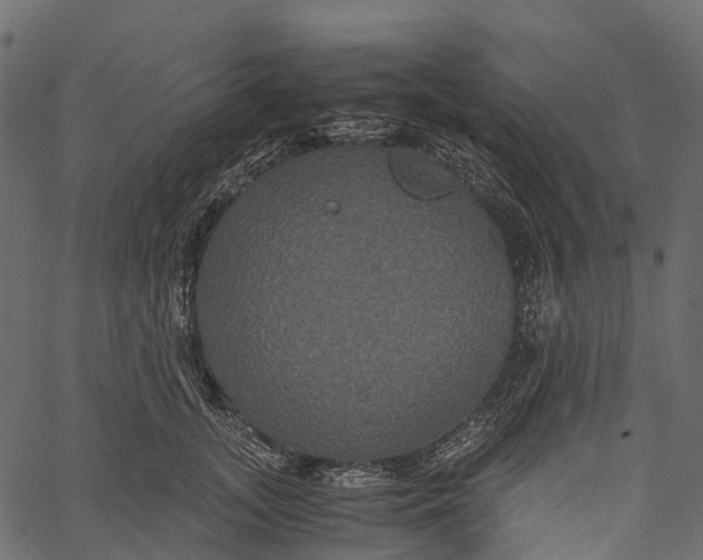 X0000062620755200601111034