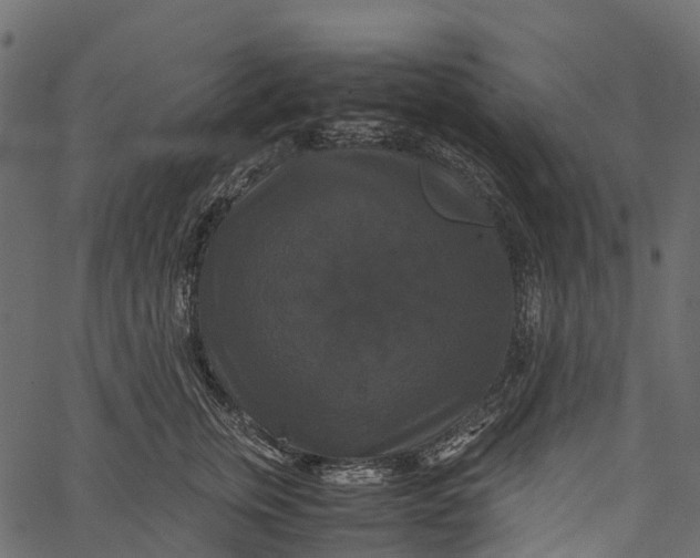 X0000062620759200601111034