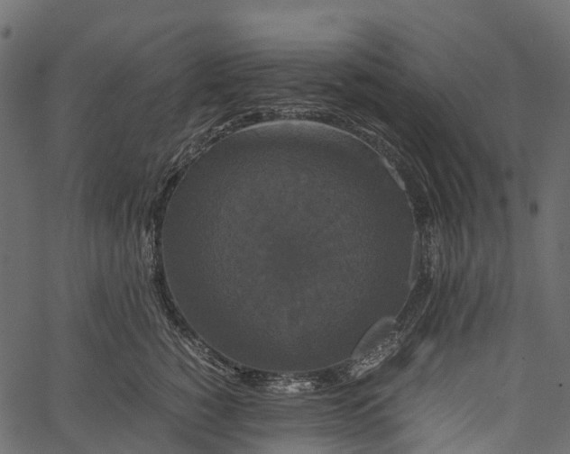 X0000062620760200601111034