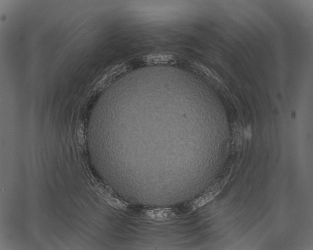 X0000062620761200601111034