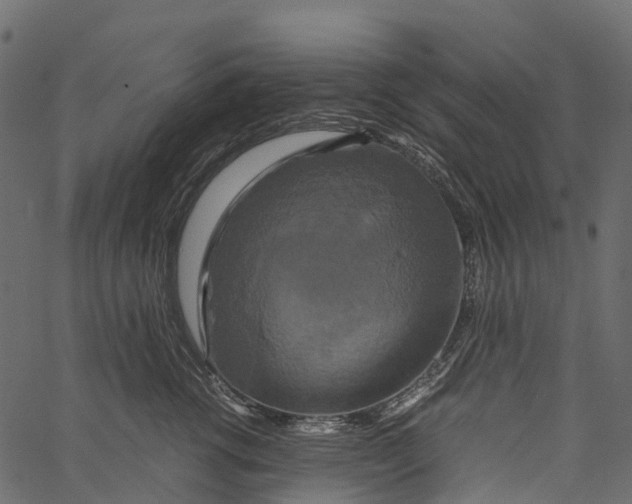 X0000062620762200601111034