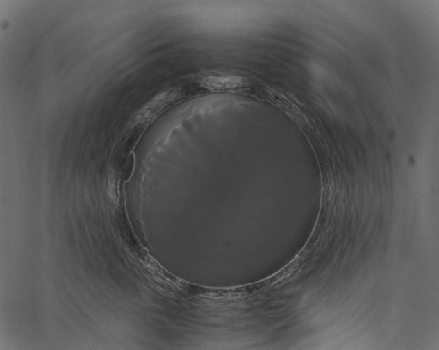 X0000062620763200601111034