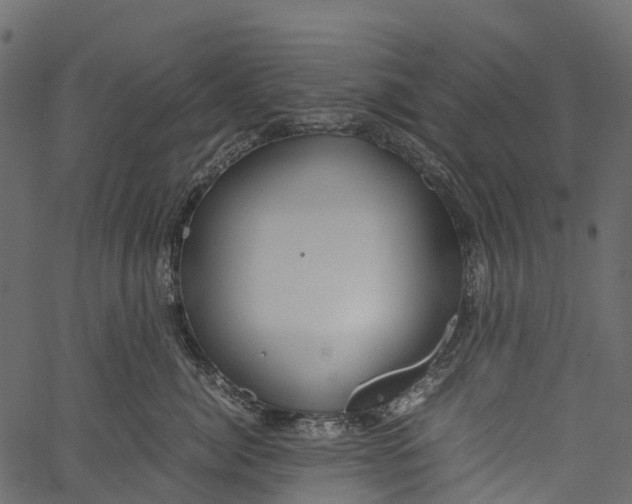 X0000062620764200601111034