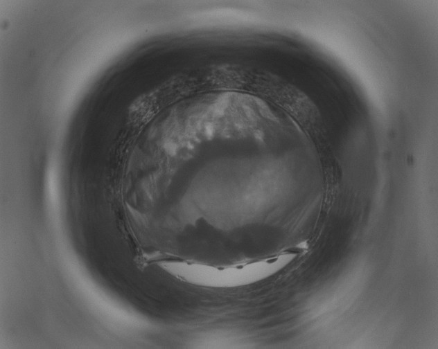 X0000062620765200601111034