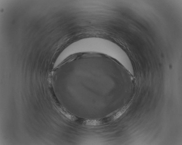 X0000062620766200601111034