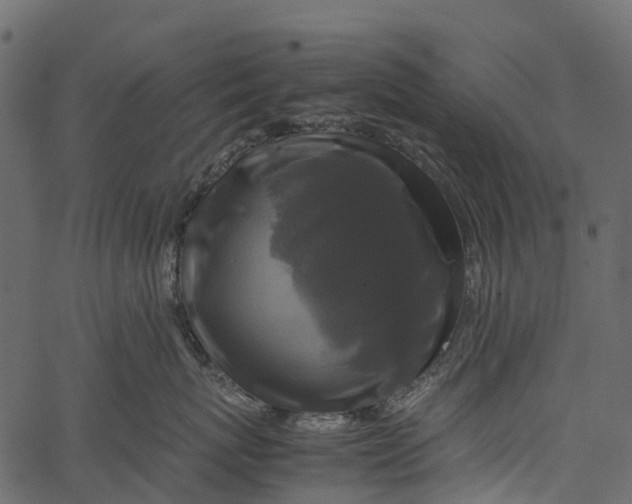 X0000062620767200601111034