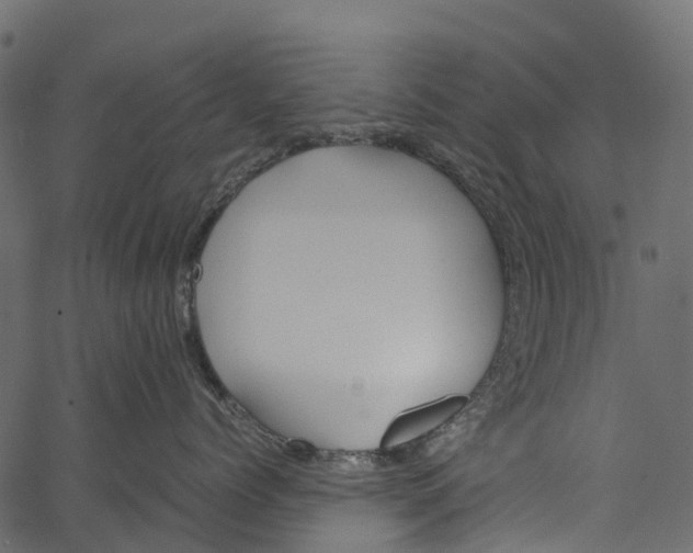 X0000062620768200601111034