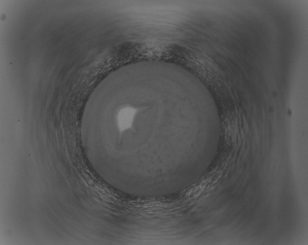 X0000062620769200601111033