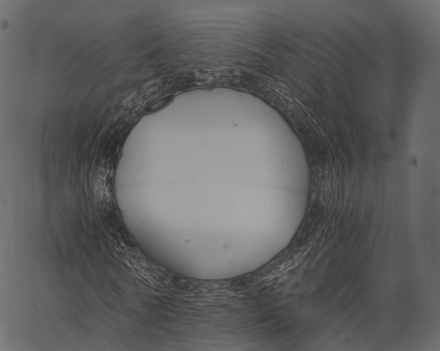 X0000062620770200601111033