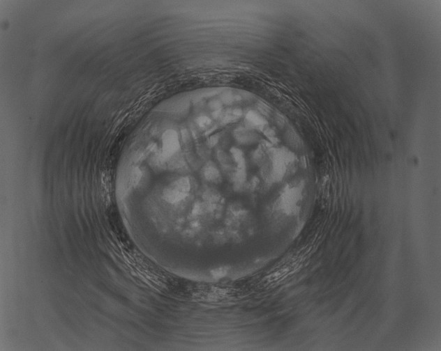 X0000062620772200601111033