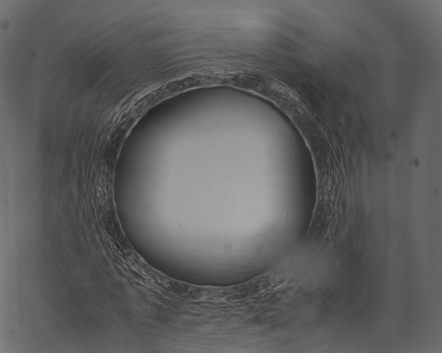 X0000062620773200601111033