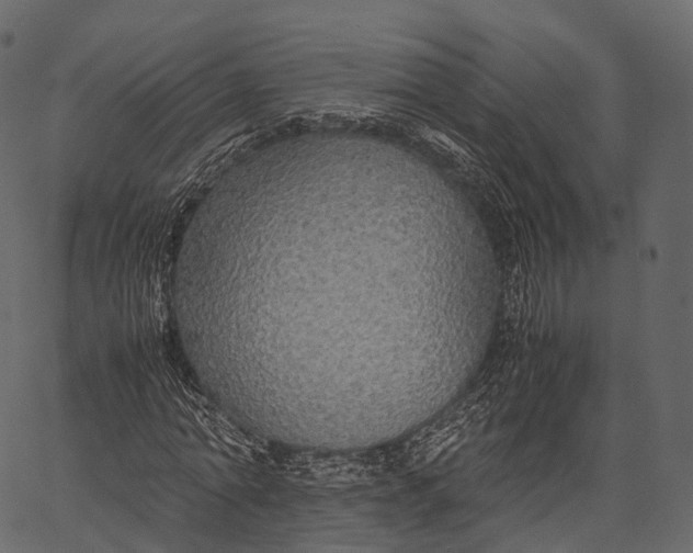 X0000062620774200601111033