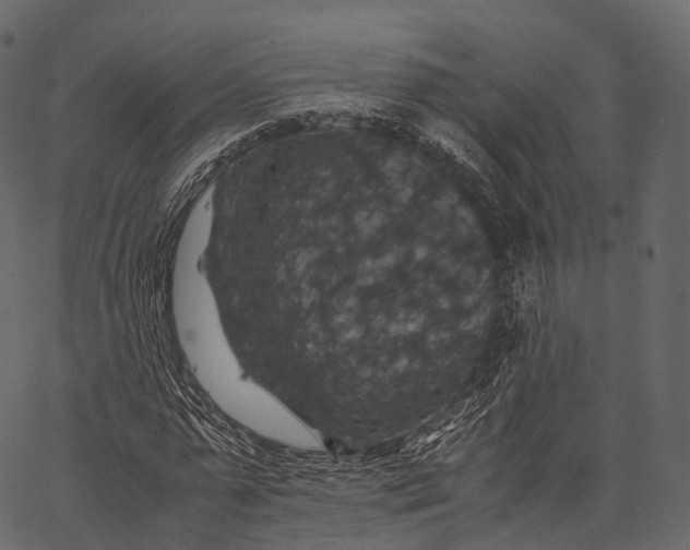 X0000062620775200601111033