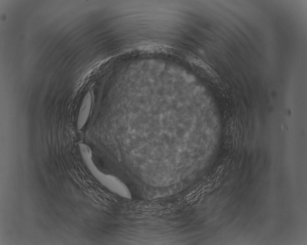 X0000062620776200601111033