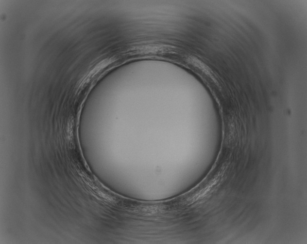 X0000062620778200601111033