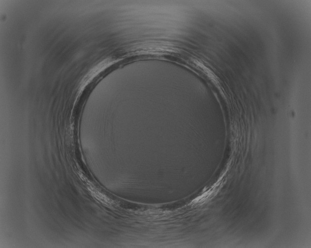 X0000062620779200601111033