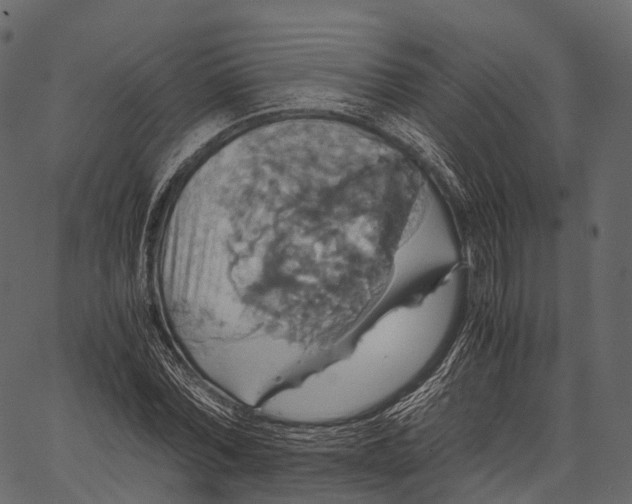 X0000062620780200601111033