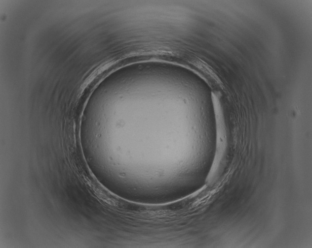 X0000062620781200601111033