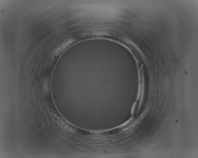 X0000062620785200601111033