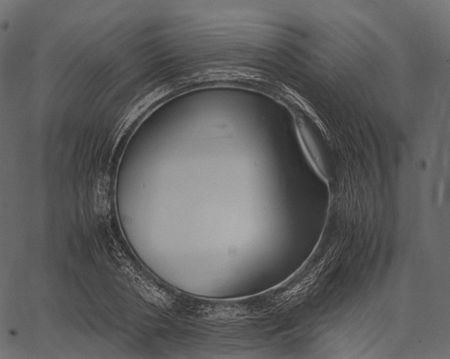 X0000062620786200601111033