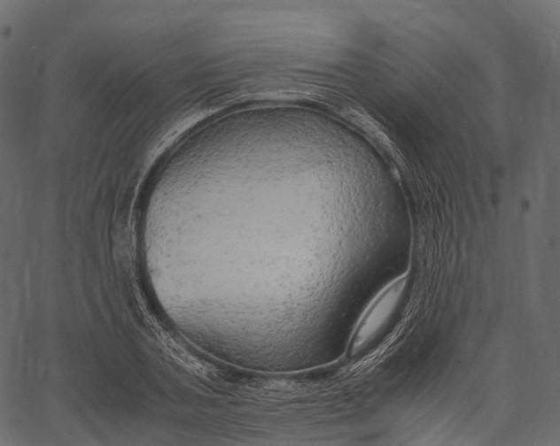 X0000062620787200601111033