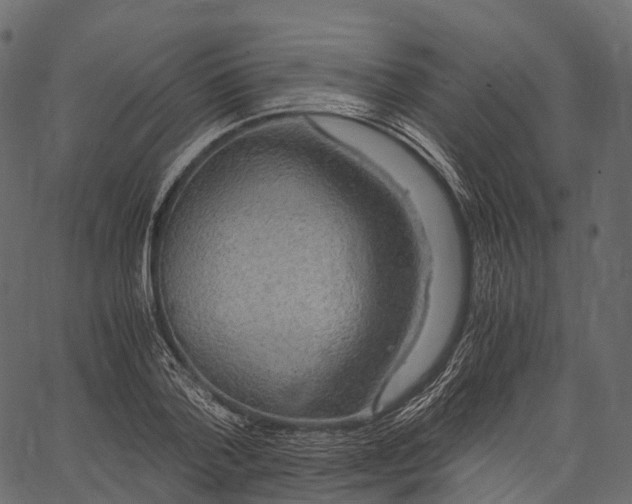 X0000062620788200601111033