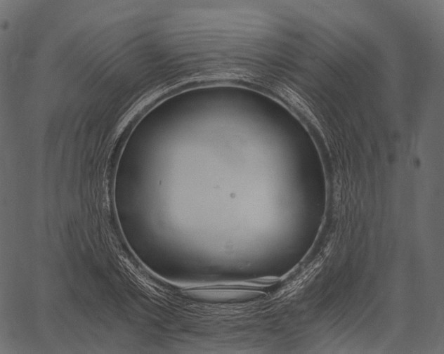 X0000062620789200601111033