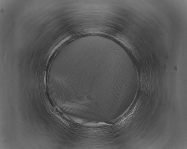 X0000062620790200601111033